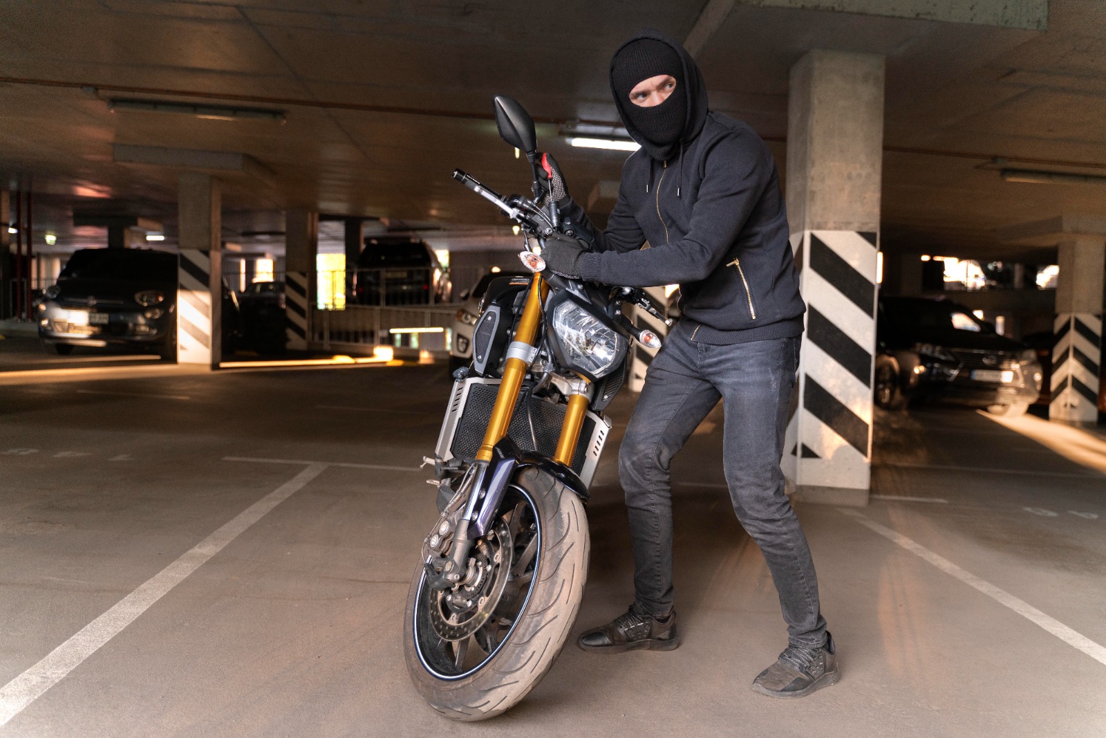 Vehículos Particulares y Motocicletas